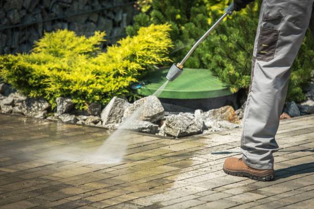 Best Winterizing Services  in Buenaventura Lakes, FL