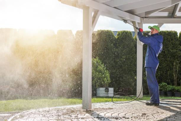 Best Gutter Cleaning  in Buenaventura Lakes, FL