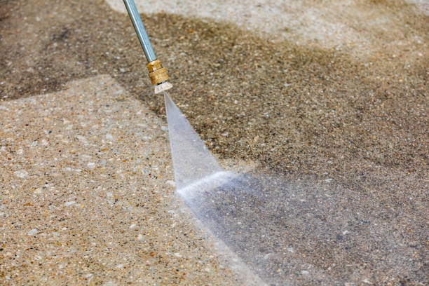 Best Warehouse Cleaning  in Buenaventura Lakes, FL